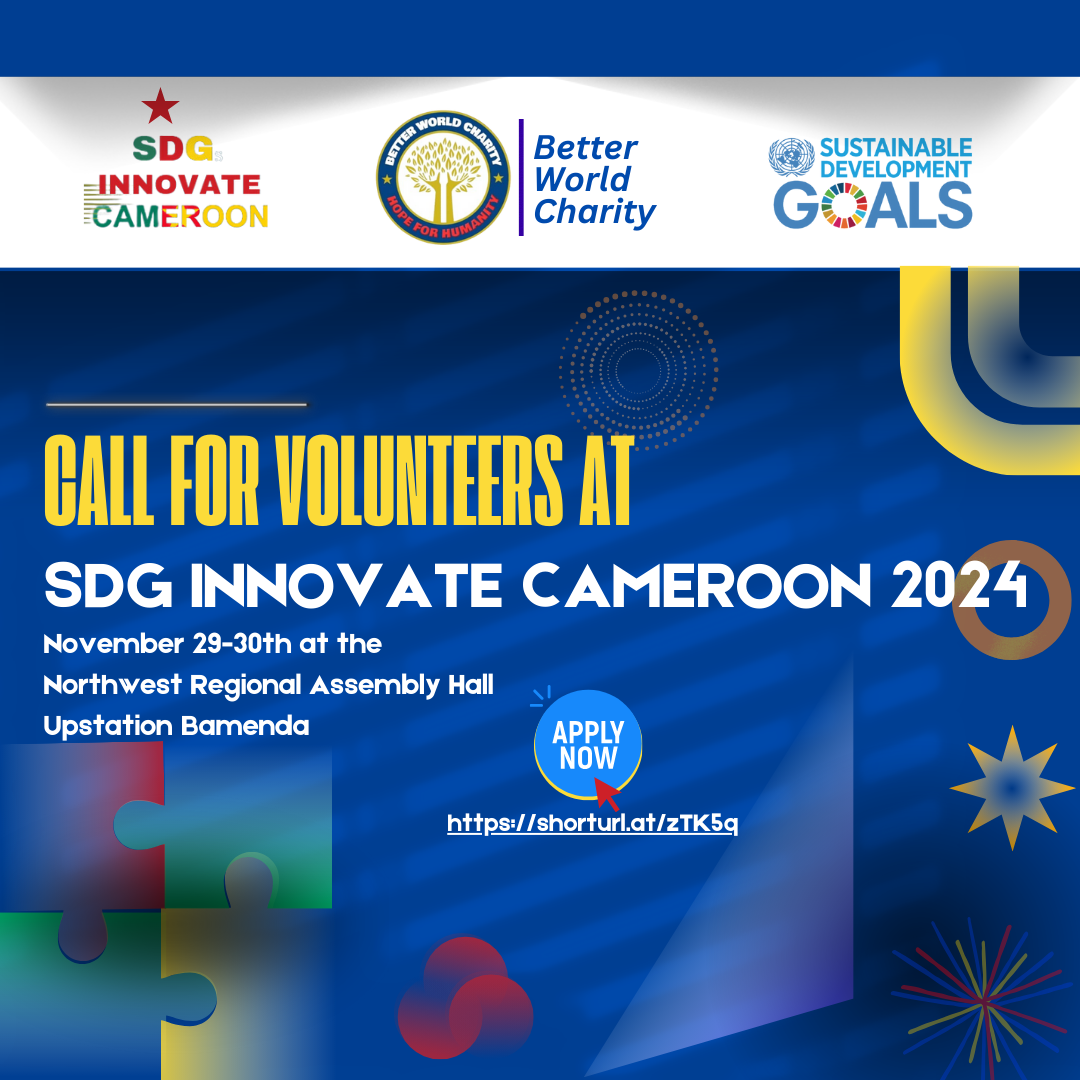 callfor volunteers for sdg innovate cameroon